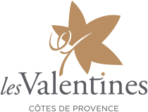 CHATEAU LES VALENTINES